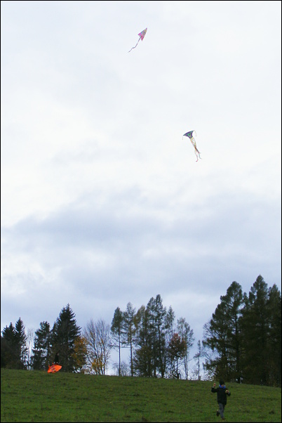 07
