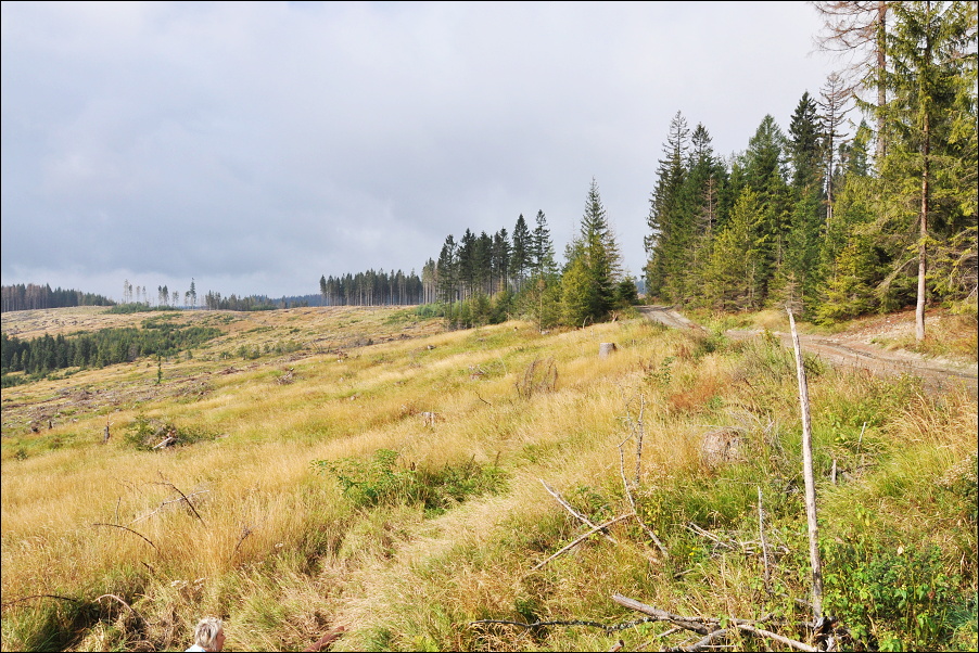 08