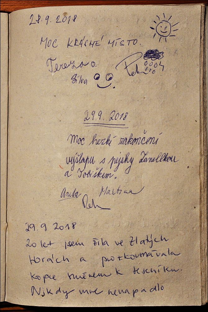 29