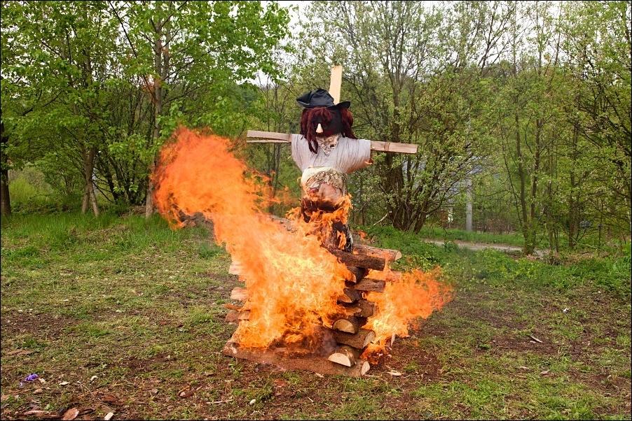 41