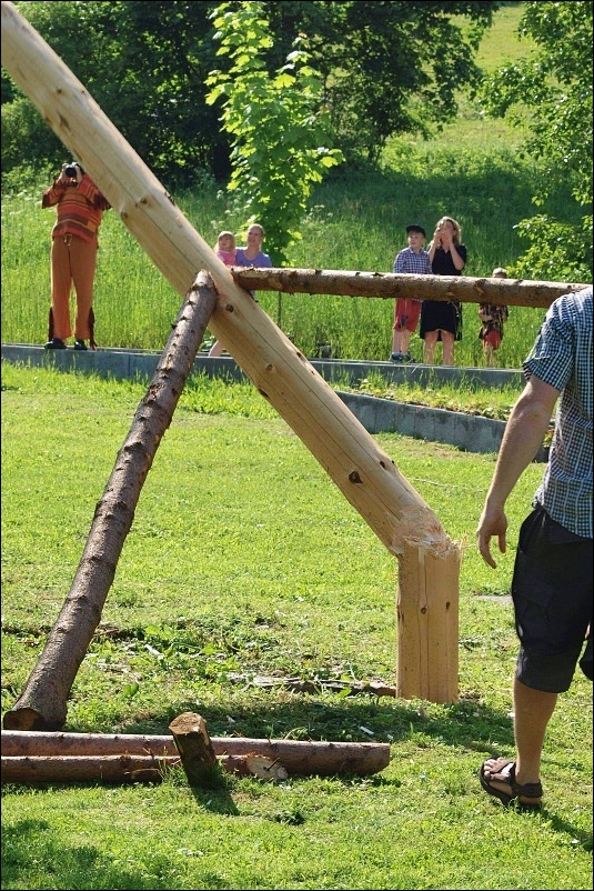 31