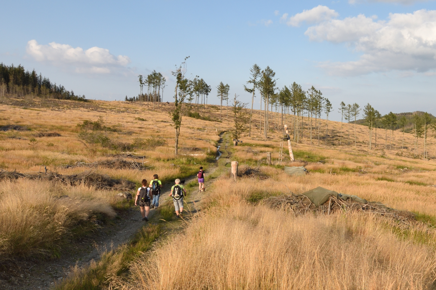 33