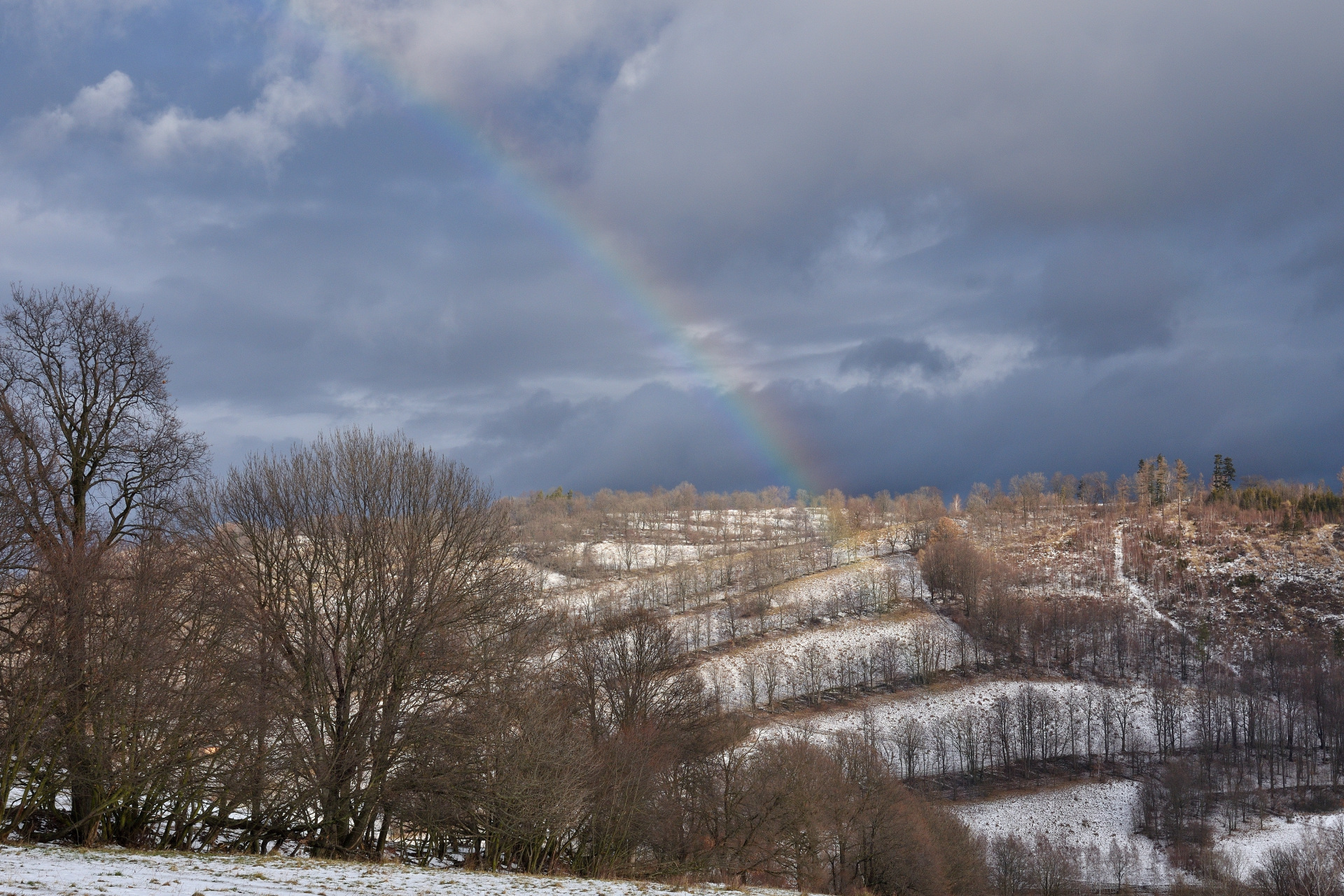 DSC_2662_00001_01