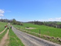 1_DSC_0070_00001