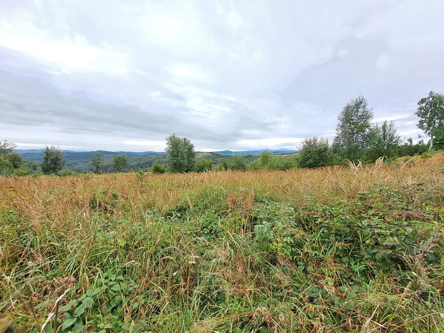 20250913_094907