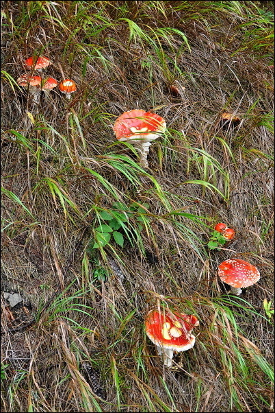 09