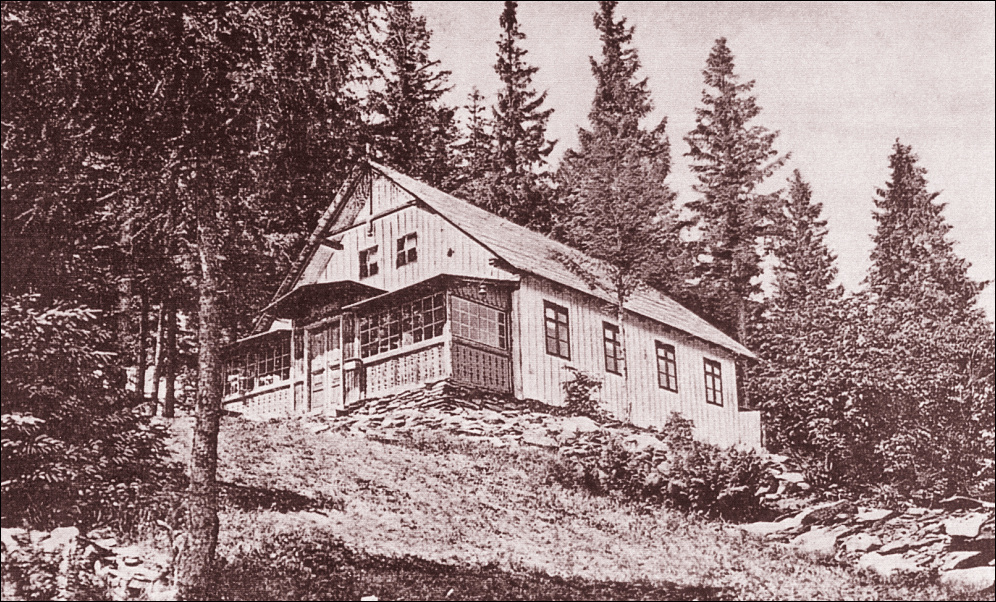 06
