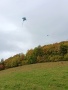 IMG-20261010-WA0019